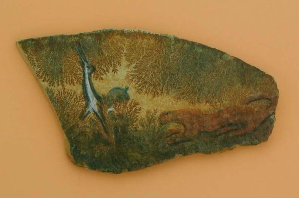 Hunter-and-the-Hunted